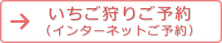 いちご狩りご予約（インターネットご予約）