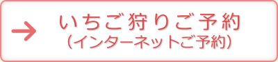 →いちご狩りご予約（インターネットご予約）